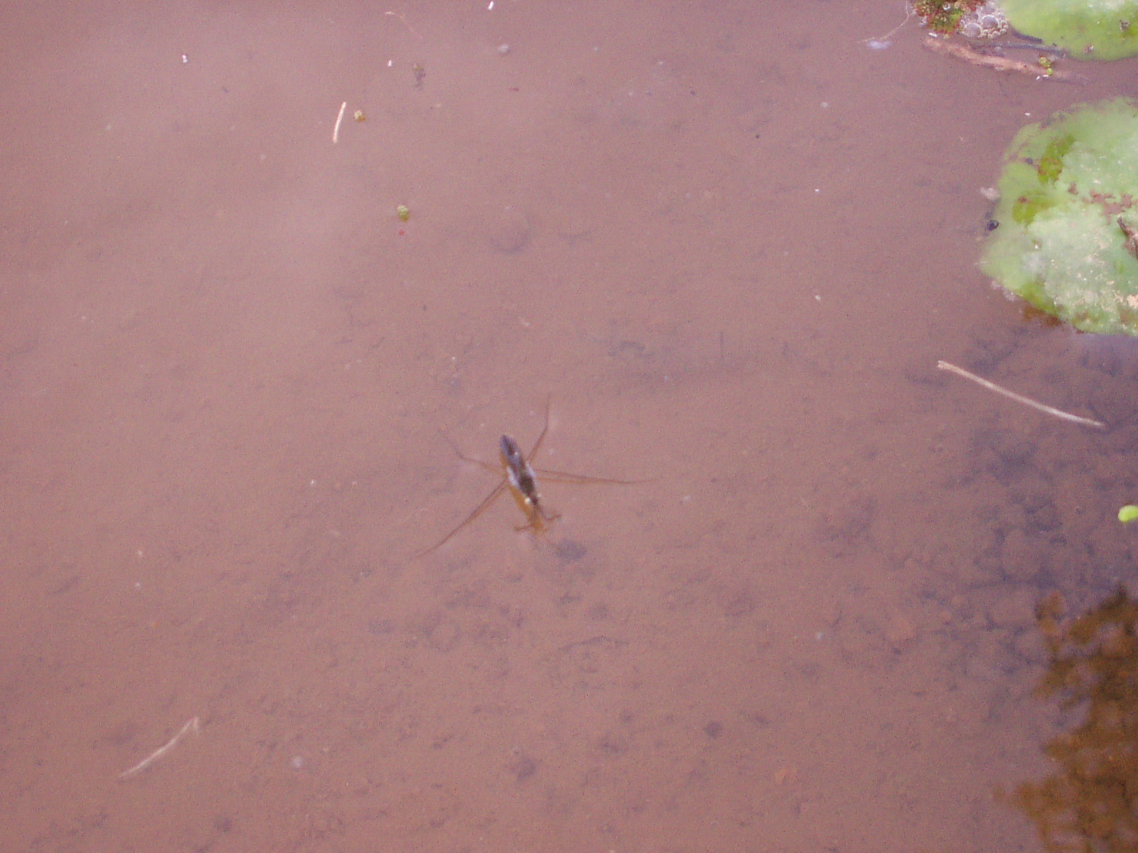 e0175905_20141310.jpg