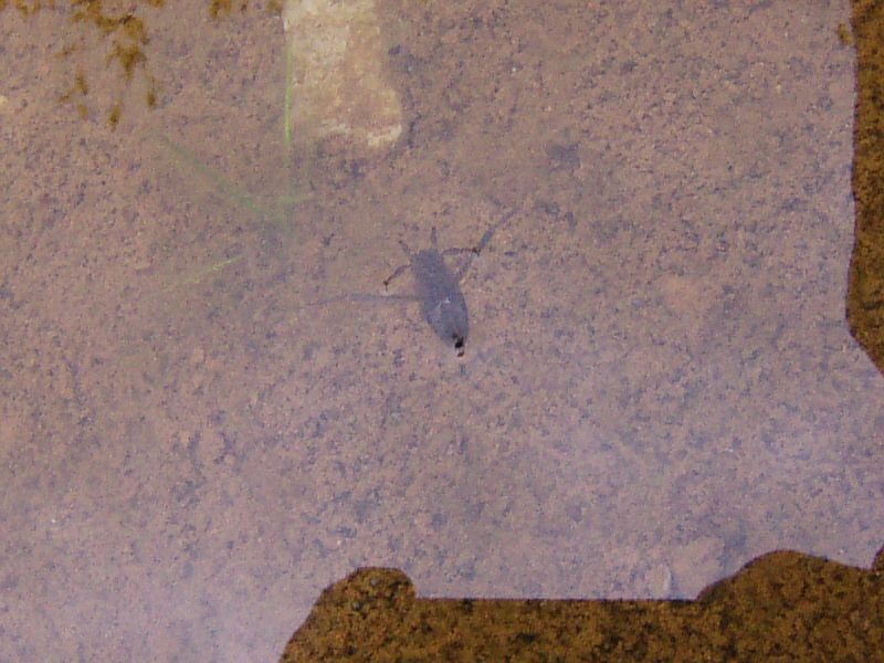 e0175905_20211150.jpg
