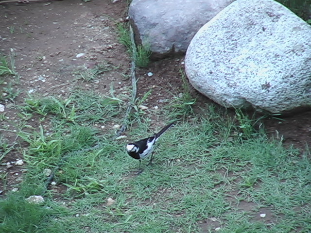 e0175905_20404088.jpg