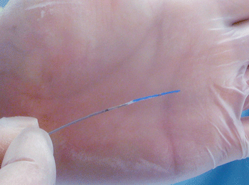 a0055913_032960.gif