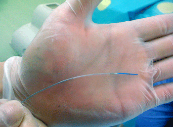 a0055913_04111.gif
