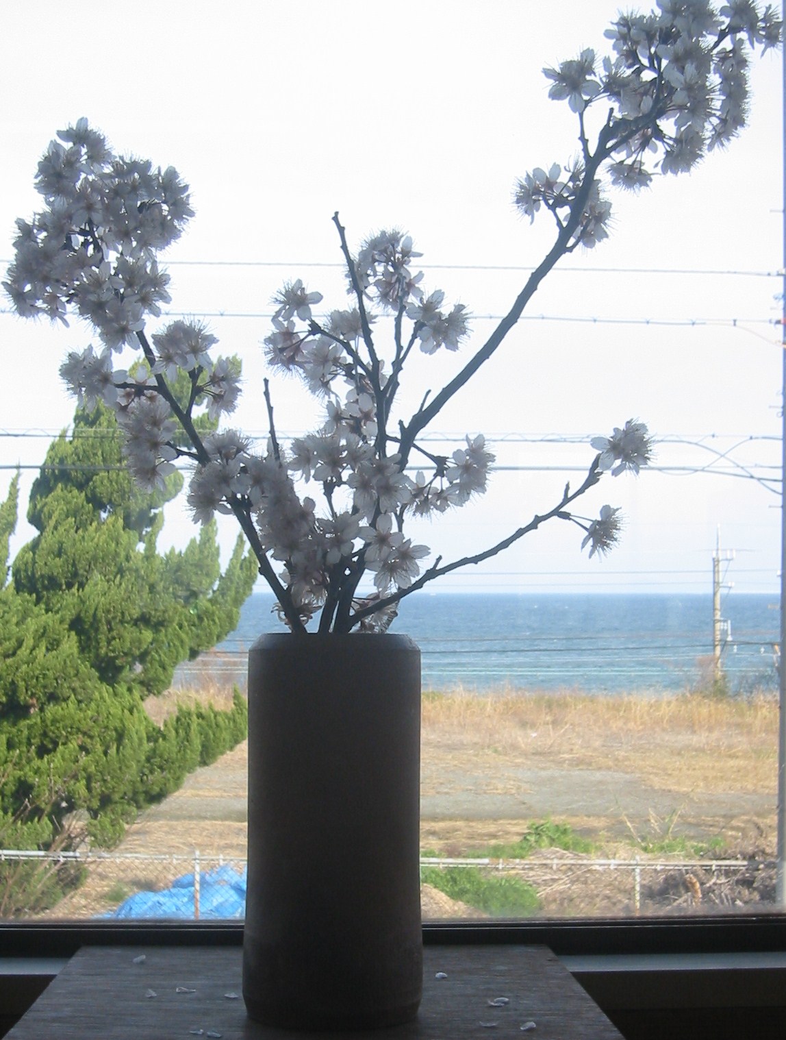 e0126218_7432049.jpg