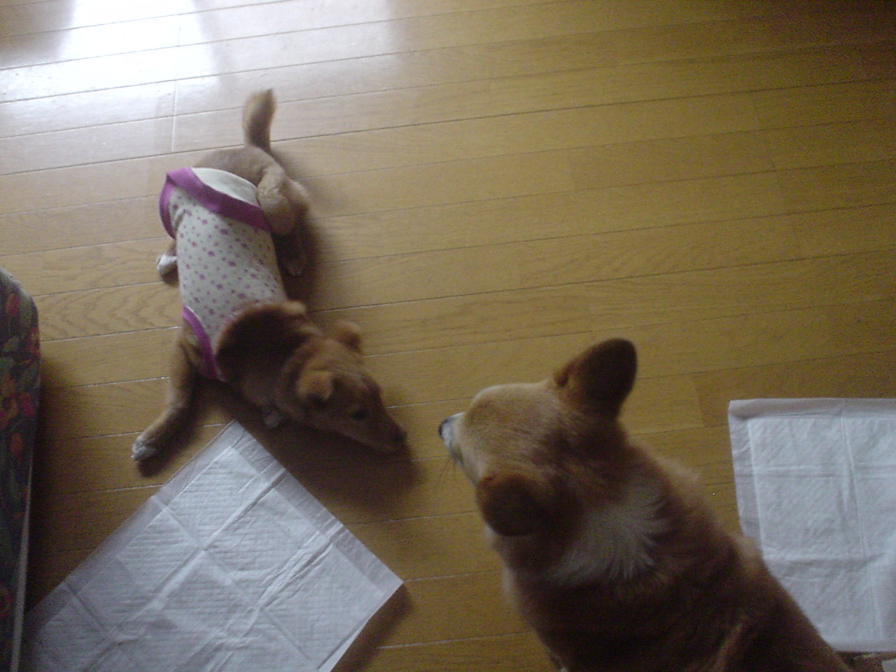 c0150520_1845128.jpg