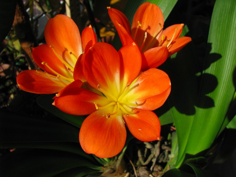 a0004023_9495538.jpg