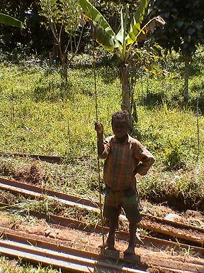 e0055023_111136.jpg