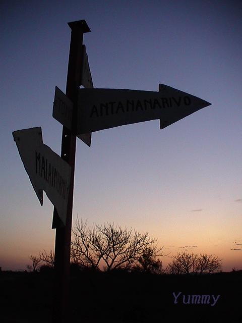 e0055023_11393837.jpg