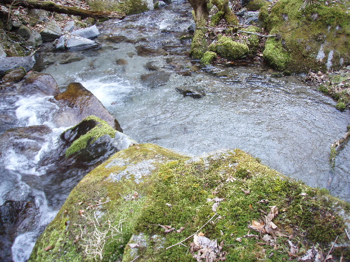 f0103126_20192555.jpg