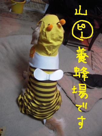 f0176830_20265423.jpg