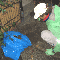 d0033734_11213574.gif