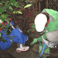 d0033734_11222392.gif