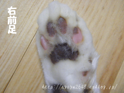 f0008935_15151967.gif