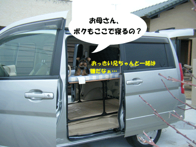 f0008935_9381247.gif