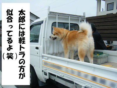 f0008935_9405622.gif