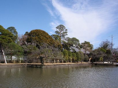 d0093936_1611767.jpg