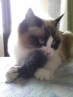 a0062240_17344973.jpg