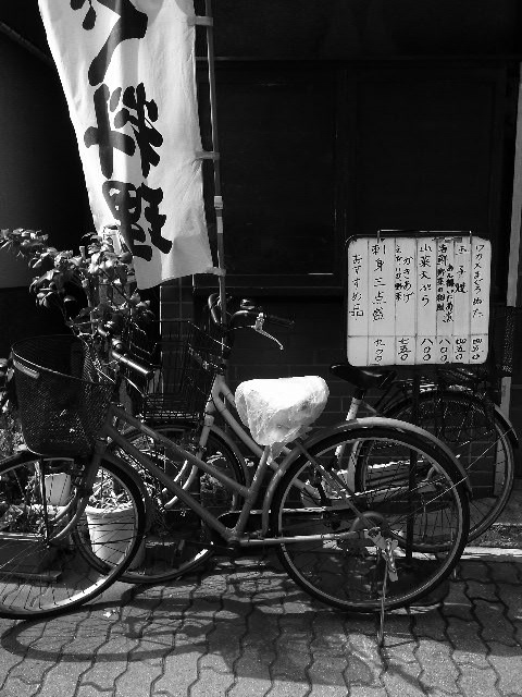 a0087341_5492629.jpg
