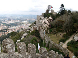 d0119143_4502482.jpg