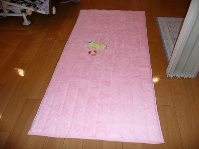 e0169243_20382416.jpg