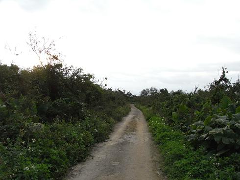 d0047944_20212159.jpg