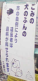 f0153547_8463865.jpg