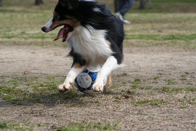 e0111449_20524369.jpg