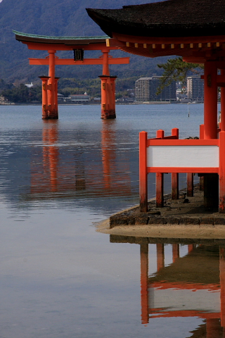 a0024250_23552368.jpg