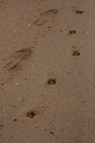 a0024250_23564192.jpg
