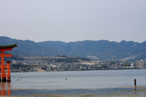 a0024250_2357984.jpg