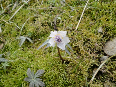 d0105063_21725100.jpg