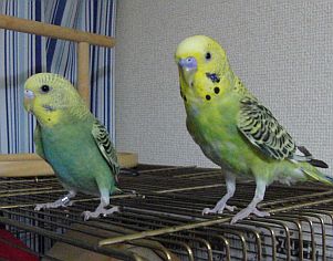 f0196665_0103019.jpg