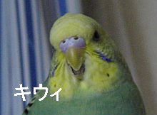 f0196665_01744100.jpg