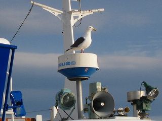 e0160568_1129793.jpg