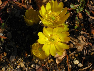 e0160568_11345991.jpg
