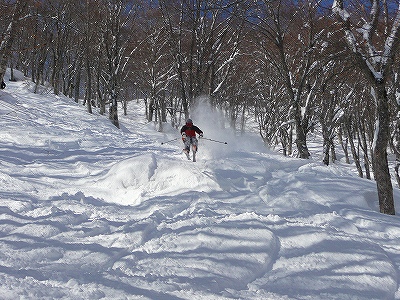f0182173_13274171.jpg
