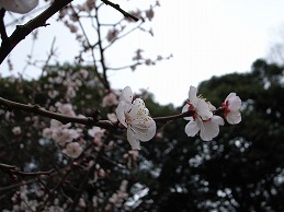 f0030875_1224123.jpg