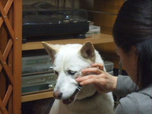 f0005081_0144924.jpg