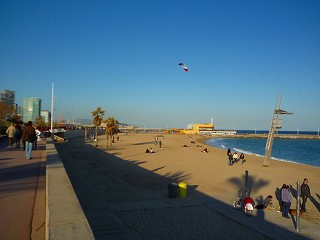 e0155786_685936.jpg
