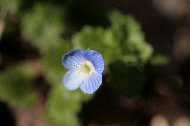 d0133693_2344452.jpg