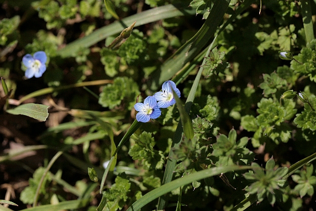 d0133693_2345061.jpg
