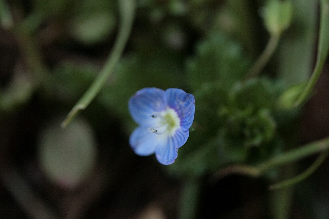 d0133693_23451134.jpg