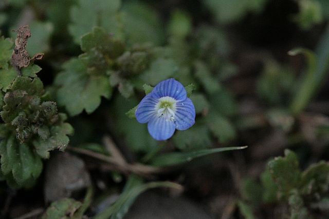 d0133693_23453960.jpg