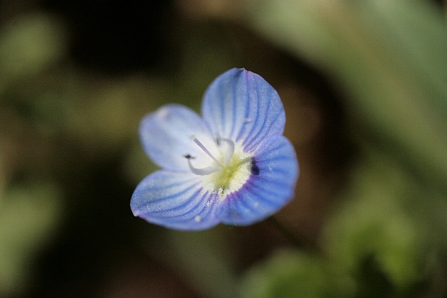 d0133693_23455114.jpg