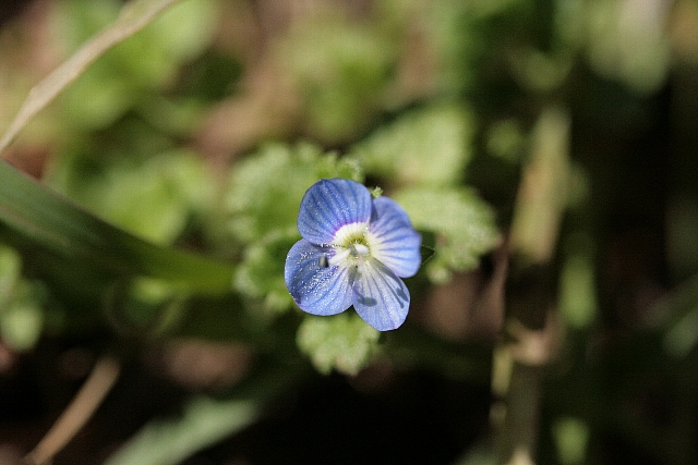 d0133693_23461182.jpg