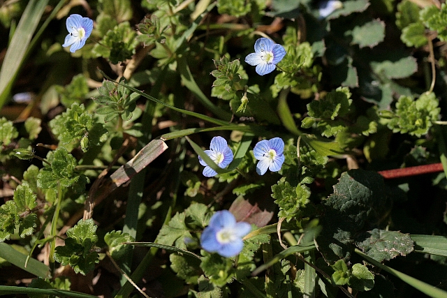 d0133693_23465470.jpg