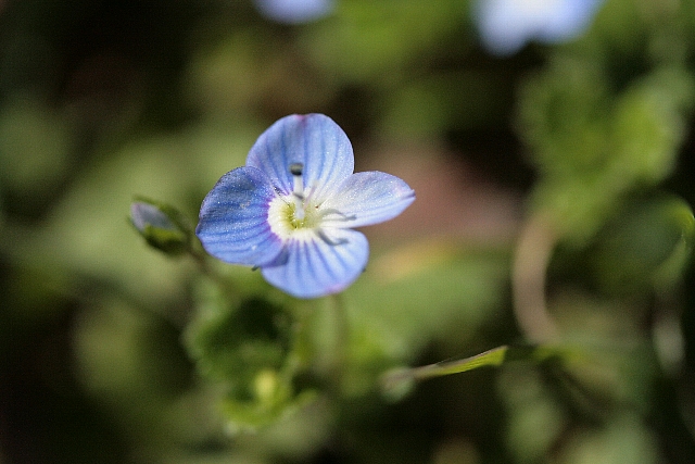 d0133693_2347661.jpg