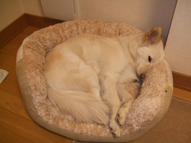 e0172495_023299.jpg