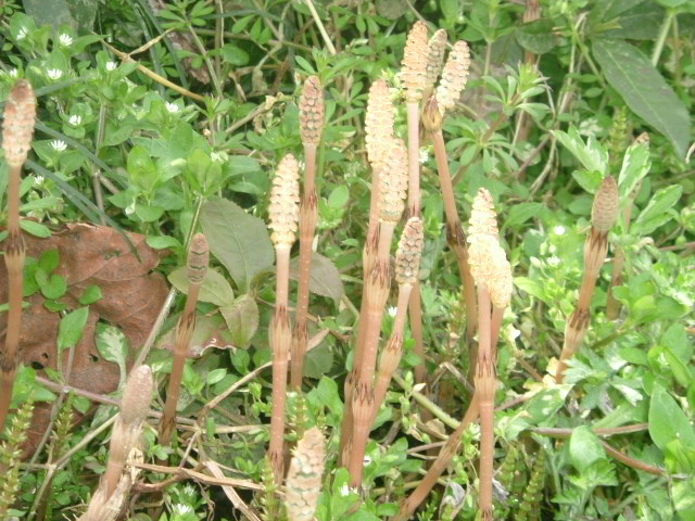b0044296_19153559.jpg