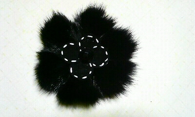 f0035996_22269.jpg