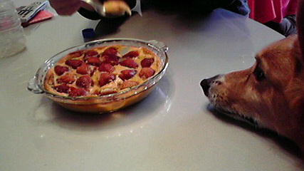 f0077097_1902514.jpg