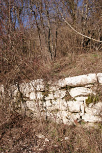 f0106597_2325115.jpg
